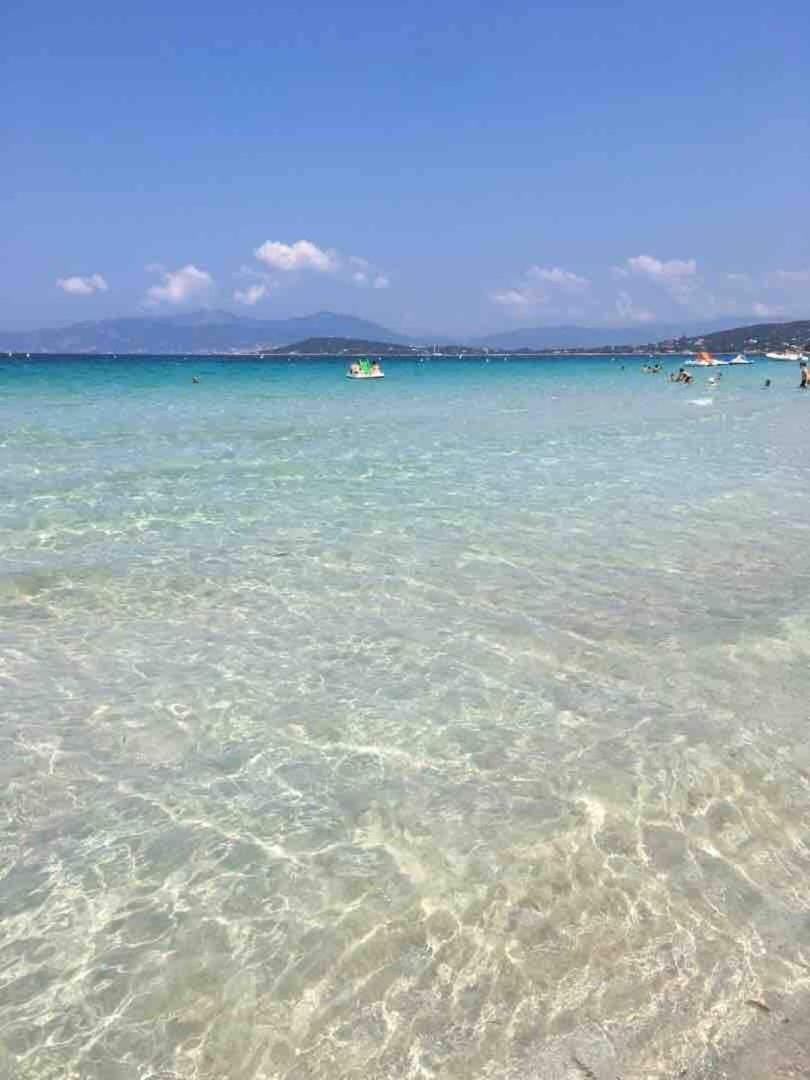 Loft Place Du Diamant Hyper Centre 50m * Ajaccio (Corsica)